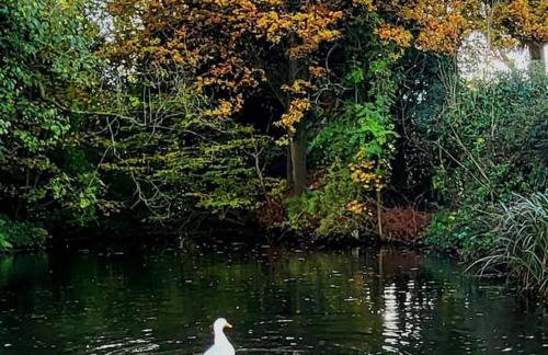 The Lodge at Fairfield Court - Foto 15