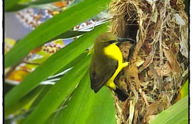 Mission Reef Resort - Foto 39