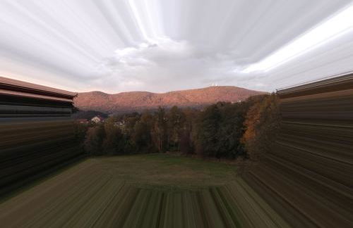 Wohnungen- Christopherhof MJ,Grafenwiesen - Photo 33