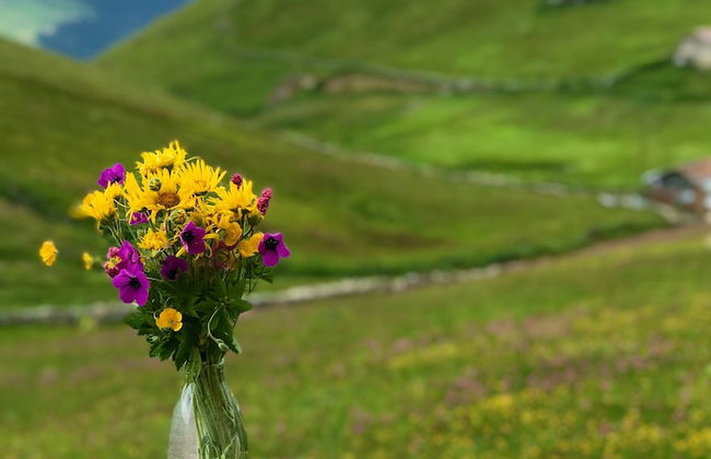 Uzungol Karester Villa Apart - Foto 21