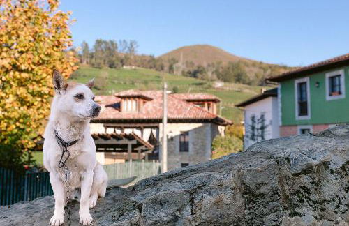 La Corrolada - Photo 9