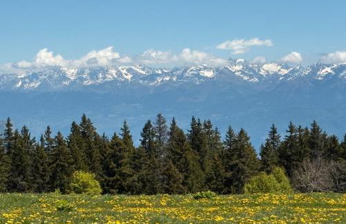 Appartement Les Ptits Loups - Foto 35