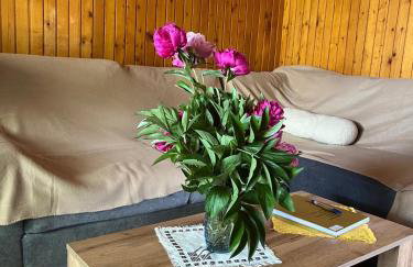 Kuća za odmor Rukova Hiža - Photo 8