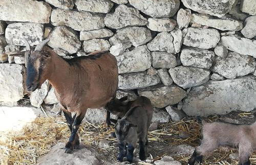 Le Grotte di Sileno - Foto 54
