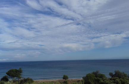 Margarita House - Photo 54