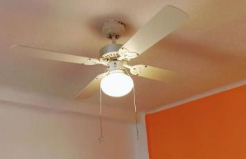 Olé Olé Bazan - Photo 8