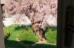 La Giribaldina Winery & Farmhouse - Foto 36