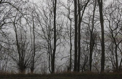 Hollerhof - Urwüchsiges Paradies - Kreativurlaub - Foto 37