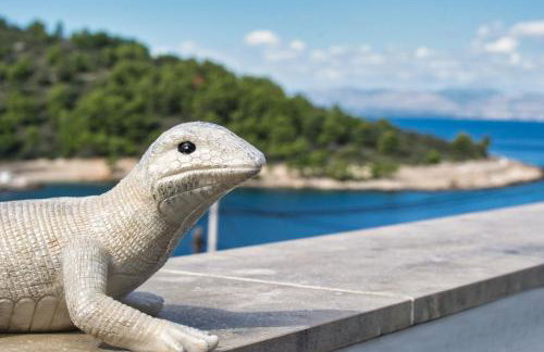 Vila Punta - Foto 18