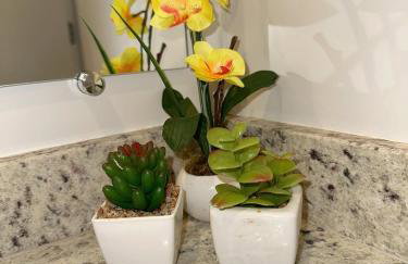 Loft 510 no Centro de Teresópolis - Foto 11