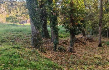 Les Girouteaux La bergerie - Photo 35