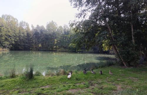 "Kota coeur de bois" Chalet en bois au domaine de l'Aa - Foto 23