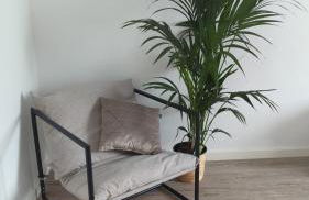 Be my Guest - Erfurt in der Natur - Foto 18