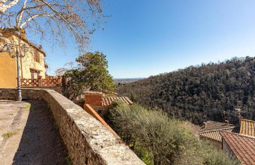 Beb Pulcino Nero Scrofiano - Photo 32