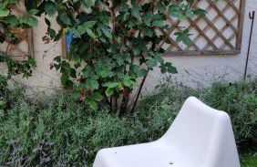 "Ô Tour's Angels" FEBVOTTE - Foto 11