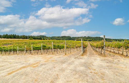 Romantic Vineyard Getaway in Oakland Mtn Views! - Foto 3