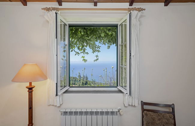 Quinta Devónia II - Tília by An Island Apart - Foto 2