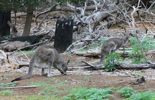 Apartments 521 - Foto 38