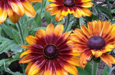 Mazurska Riwiera - Foto 31