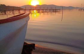 Morada Vó Rita - Foto 65