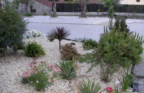 Alojamento Costa & Dias - Foto 7