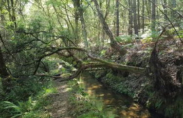 Casas Velhas - Foto 70