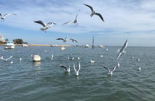 Aux pieds des plages, du port, de la piste cyclable et des commerces de proximité, un studio au dernier étage avec une vue panoramique sur le Bassin d'Arcachon, entièrement rénové, dans une résidence avec piscine - Foto 40
