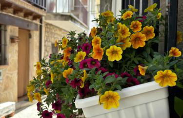 Casa Árbol - Foto 71