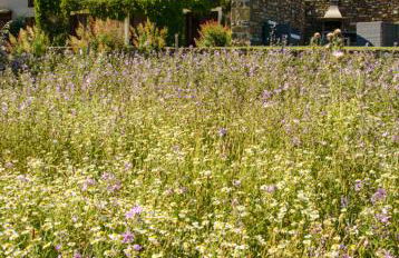 Casa Sarasa - Foto 17