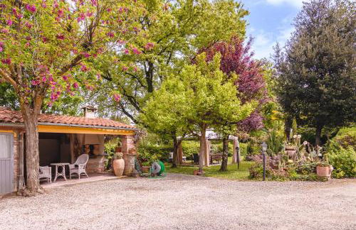 Il Cerretello - Tuscan Experience - Foto 12