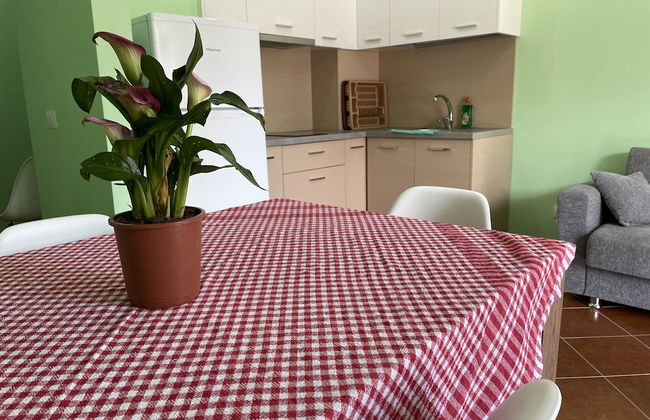 FAMILY RESIDENCE - Foto 8