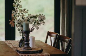 Mech i brzoza - Foto 44