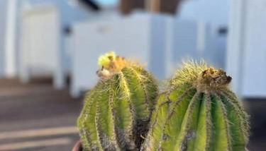 Palazzo Giardinello - Foto 3