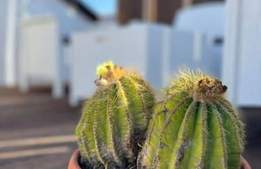 Palazzo Giardinello - Foto 3