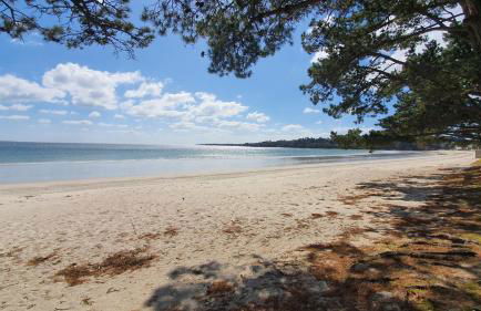 Vacances Ô Loch - Studio à 200 mètres de la plage - Le Cap Coz Fouesnant - Foto 10