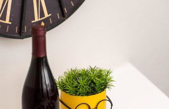 John's city center roof studio flat -panorama view - Photo 14