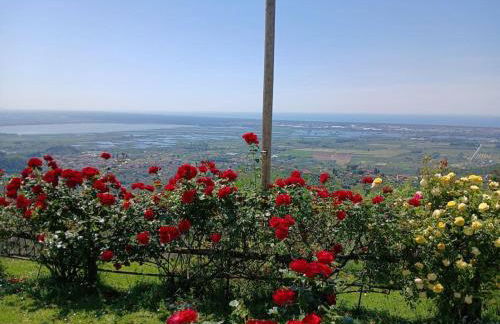 Casa panoramica sulle colline di Viareggio - Foto 11