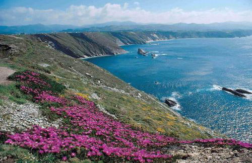 Apartamentos Navalin - Foto 86