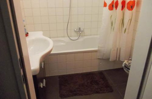 Fewo-Rosenheim im Zentrum mit kostenlosem Parkplatz - Foto 15