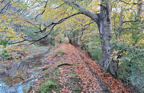 Ryan's Cottage - Photo 66