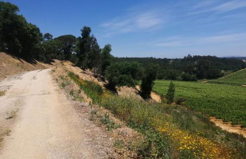 Casa do Cedro no Campo - Foto 45