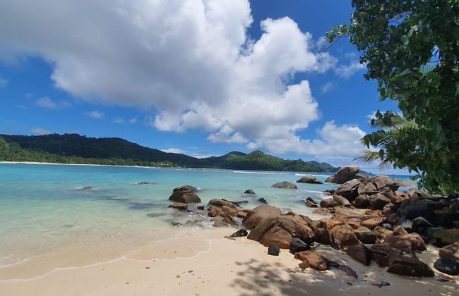 Pebbles Cove - Photo 13