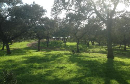 Casa Rural Monterrey Aroche - Foto 41