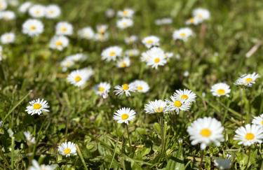 Stylish studio apartment with beautiful terrace near Audi - Photo 44