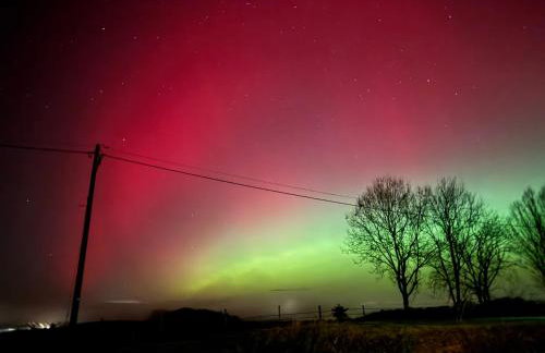 Cosy Rural Barn with Private Garden & Forest - The Cart Barn - Foto 38