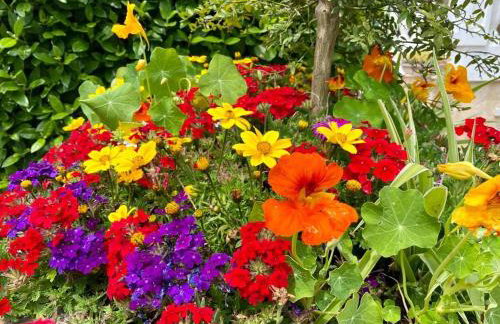 Le Mas des Pins - Foto 24