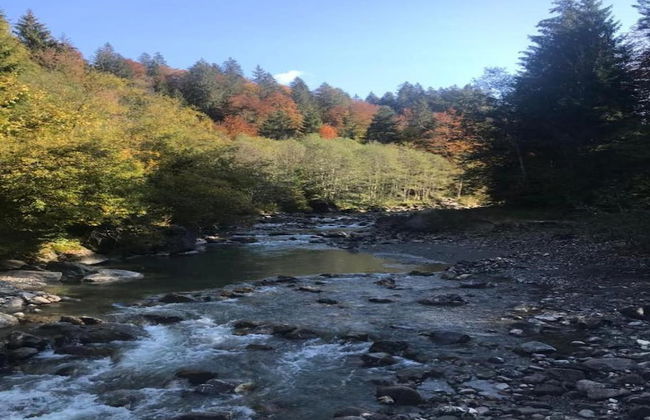 Apartment in Damuls Near Hiking Trails - Photo 35