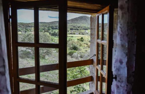 MAS COURADOU - Foto 10