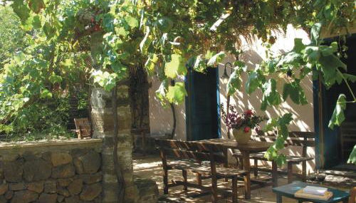 Agriturismo Hibiscus - Foto 4, Garden