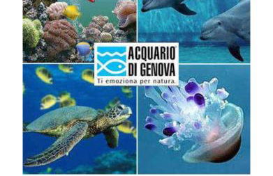 Ca' Barabino - Foto 47